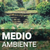 Medio ambiente
