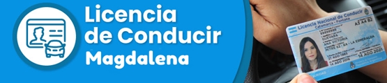 Licencias Conducir